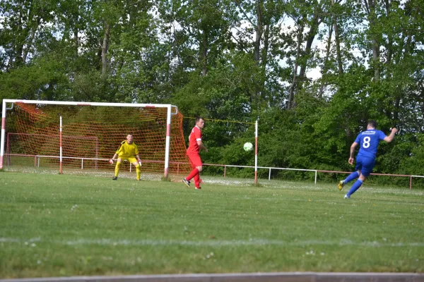 14. Spieltag Saison 23/24 SV Pfiffelbach (1.M)